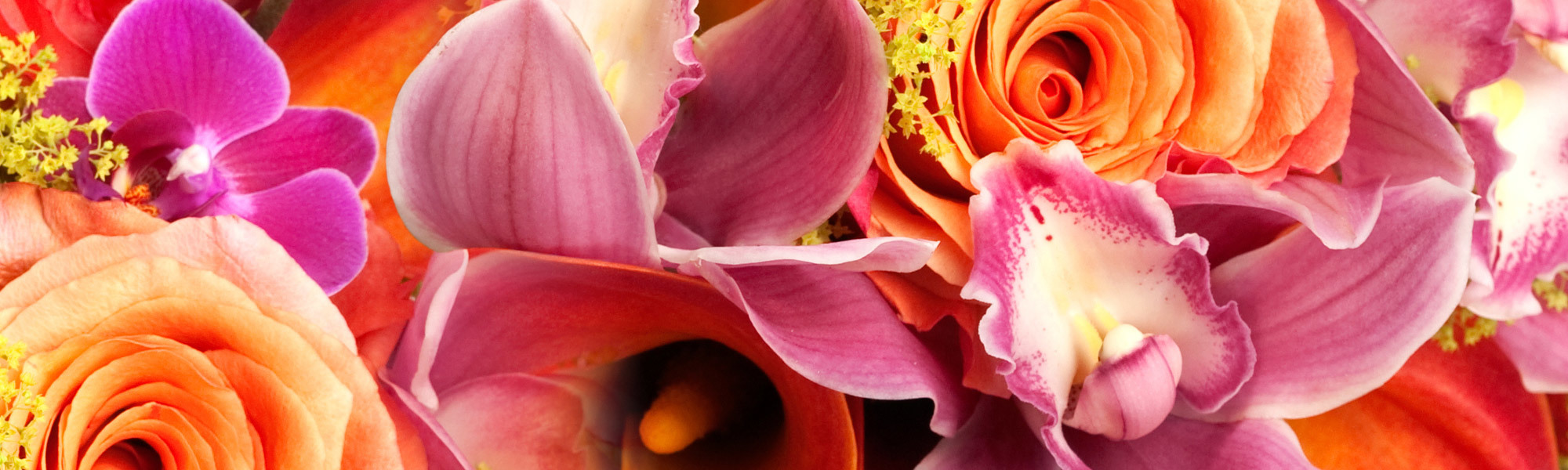 Busch's Florist Flower Delivery Jefferson City, MO Florist