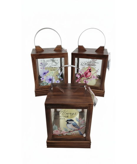 Medium Size Designer Choice Lantern