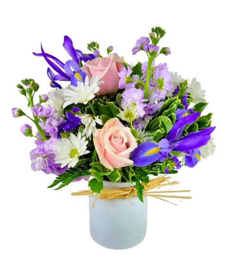 Violets & Daisies