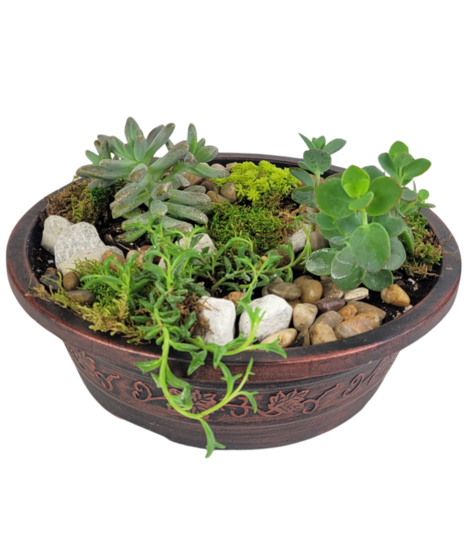 Table Top Succulent Bowl