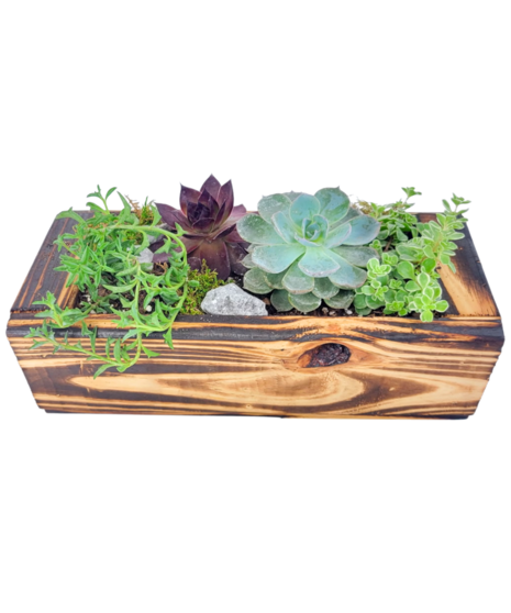 Wooden Box Succulent Planter