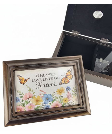 Large Butterfly Music Box