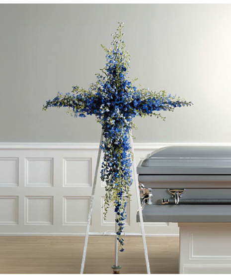 Delphinium Cross