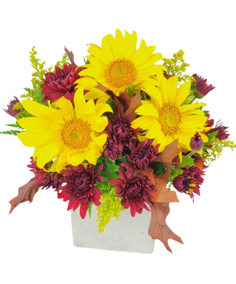 Sunflower Serenade