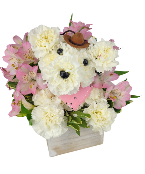 Lil' Miss Lasso My Heart