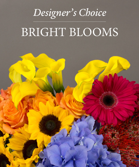 BRIGHT & COLORFUL DESIGNER'S CHOICE
