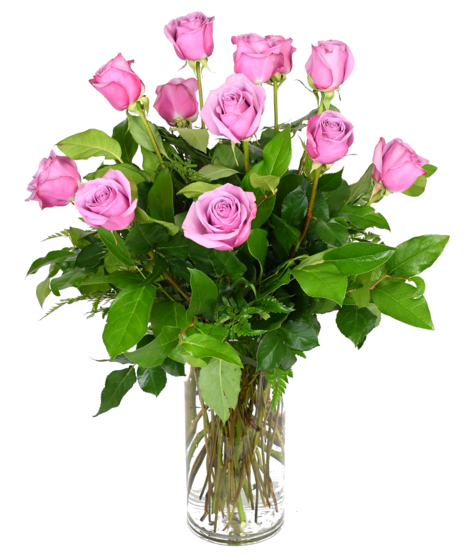 Long Stemmed Lavender Roses - 30 inches in height