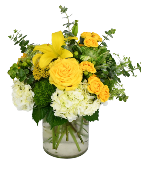 Walking on Sunshine Arrangement | Jefferson City Flower Delivery