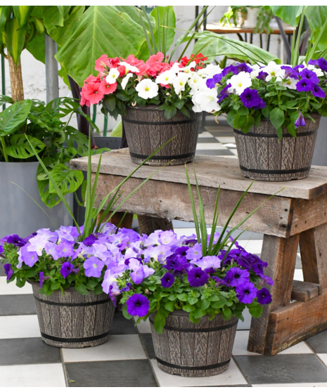 Mixed Planter
