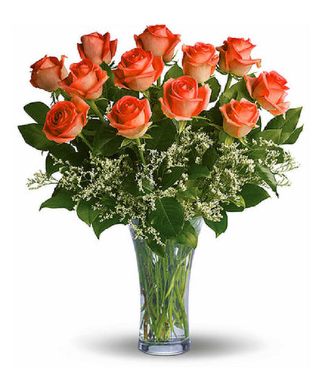 Long Stemmed Orange Roses