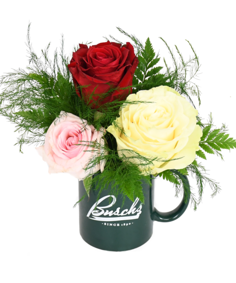 Busch's Mug