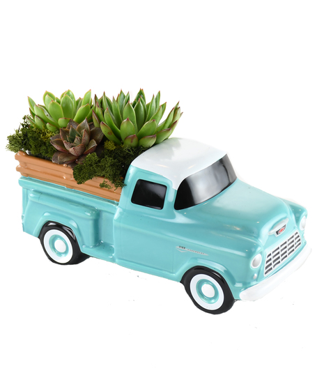 Antique Truck Succulents
