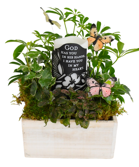 In His Hands Box Arrangement