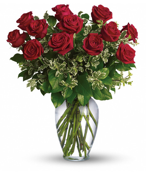 One dozen long stemmed red roses in a clear glass vase