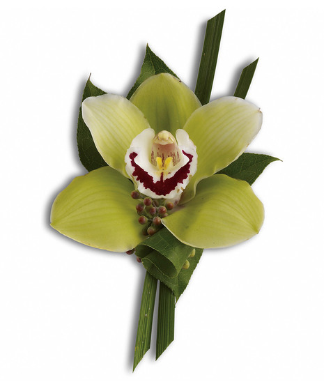 Boutonniere created with a green cymbidium orchid