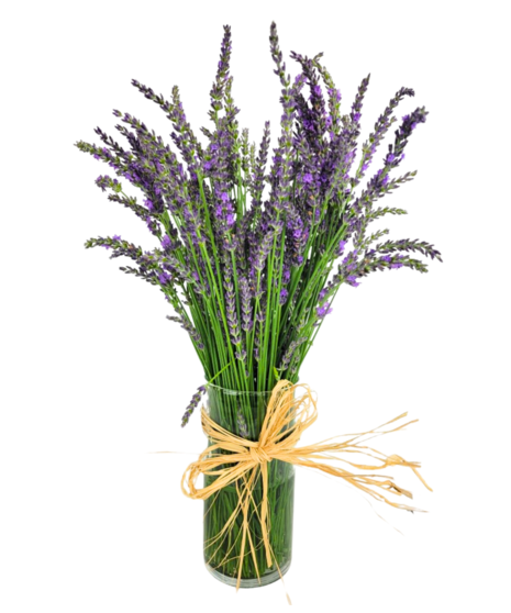 Fresh Lavender Arrangement