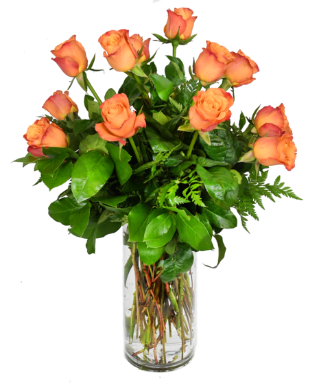 Long Stemmed Orange Roses - 30 inches in height