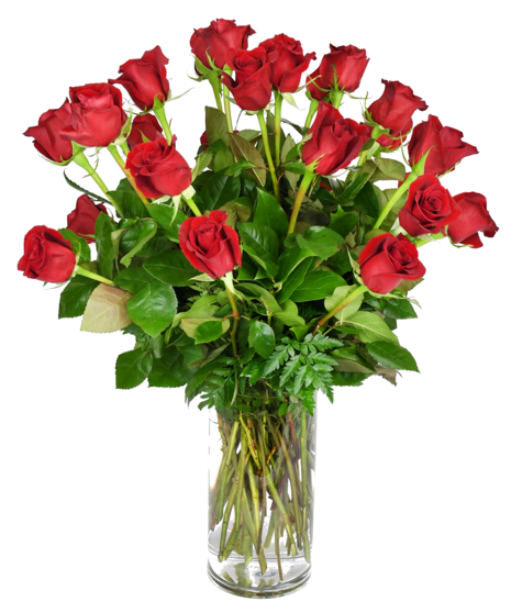 Double Dozen Red Roses - 35 inches in height