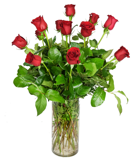 One Dozen Red Roses - 30