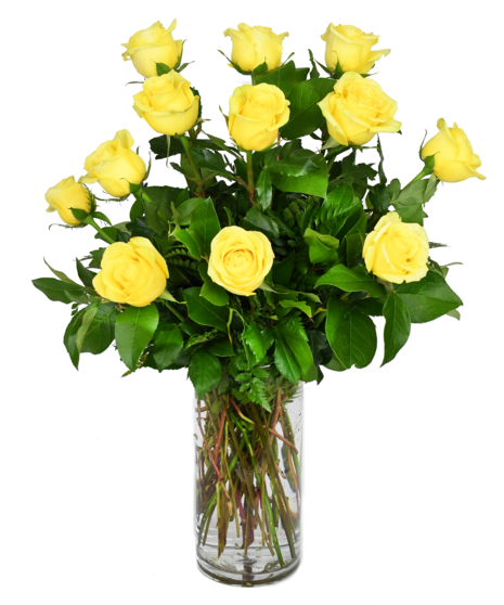Long Stemmed Yellow Roses - 30 inches in height