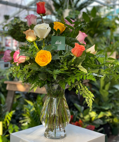 Busch's Classic Dozen Rose Bouquet