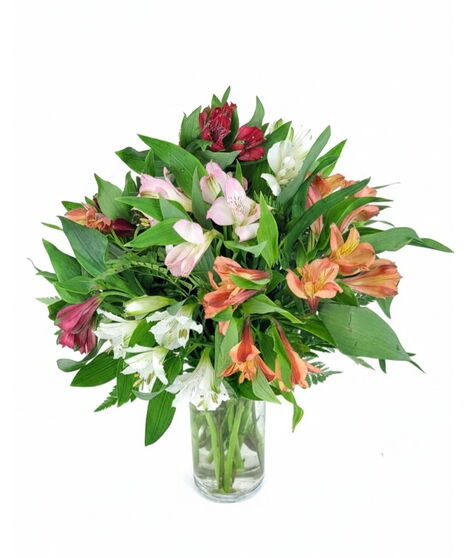 Alstroemeria love