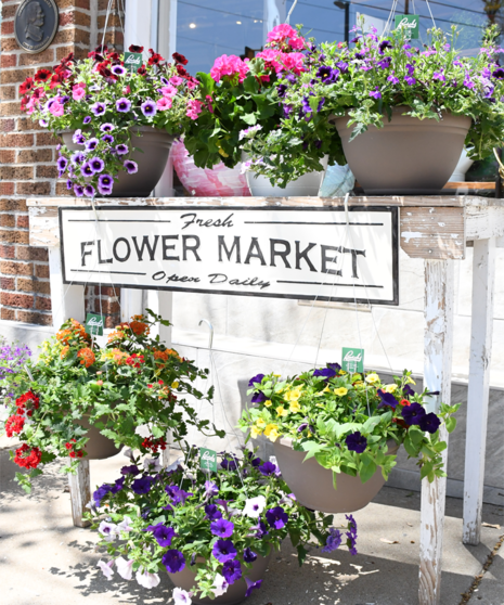 Mother's Day Flowers