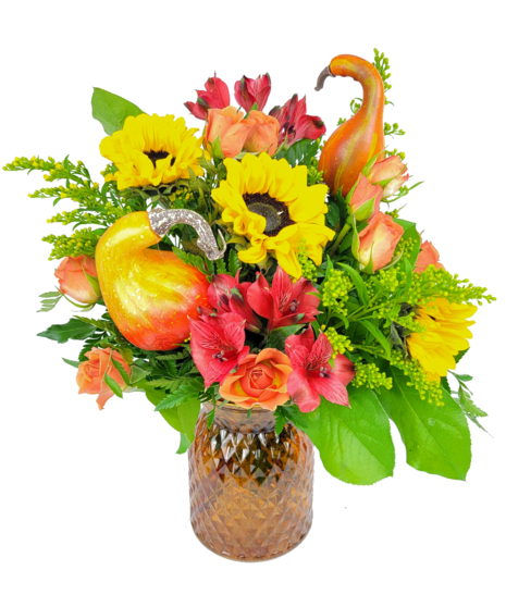 Gourds & Goodness