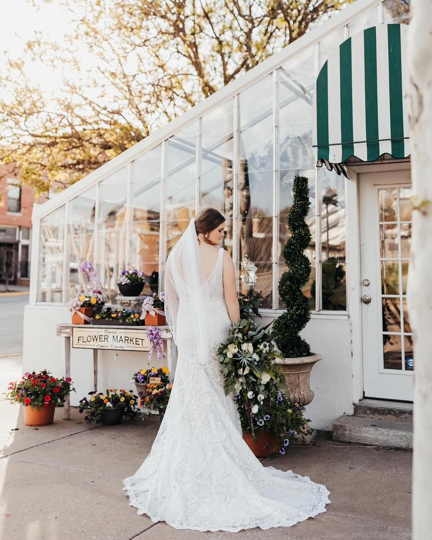 Jefferson City Florist & Columbia MO Flower Delivery Busch's Florist